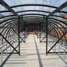 Load image into Gallery viewer, PETG Sheet