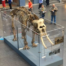 Load image into Gallery viewer, Polycarbonate Sheet