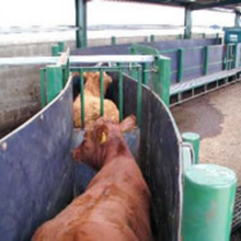 Load image into Gallery viewer, Stokbord® (100% Recycled Plastic Sheet)