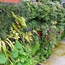 Load image into Gallery viewer, EKOply (100% Recycled Plastic Sheet)