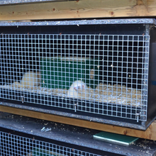 Load image into Gallery viewer, EKOply (100% Recycled Plastic Sheet)